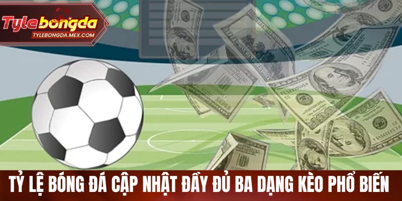 Tỷ lệ bóng đá cập nhật đầy đủ ba dạng kèo phổ biến 